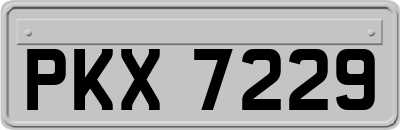 PKX7229