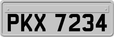 PKX7234