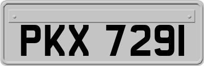 PKX7291