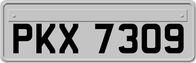 PKX7309