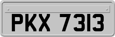 PKX7313
