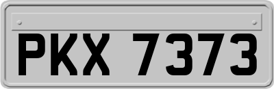 PKX7373