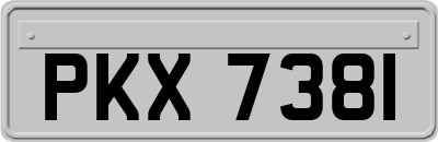PKX7381