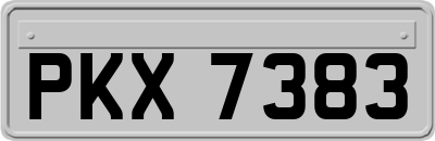 PKX7383