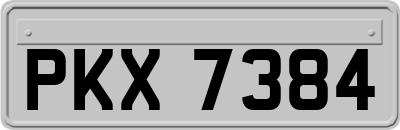 PKX7384