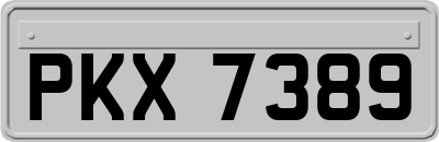 PKX7389