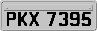 PKX7395
