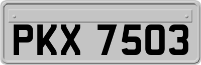 PKX7503