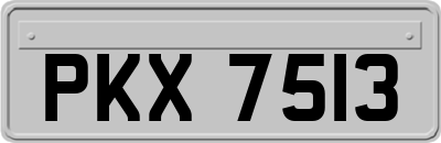 PKX7513