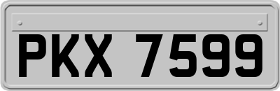 PKX7599