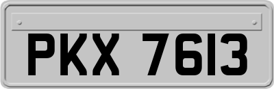 PKX7613