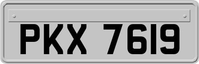 PKX7619