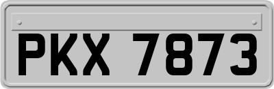 PKX7873