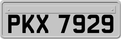 PKX7929