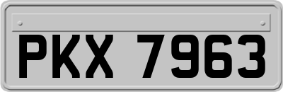 PKX7963