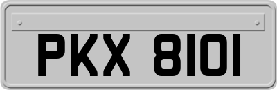PKX8101