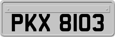 PKX8103