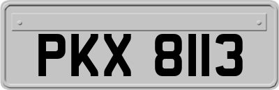 PKX8113