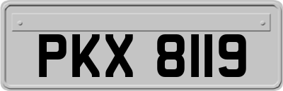 PKX8119