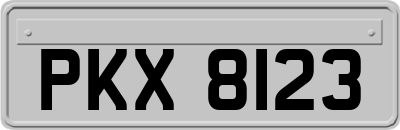 PKX8123