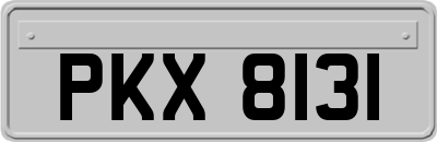PKX8131