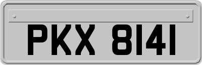 PKX8141