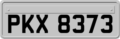 PKX8373