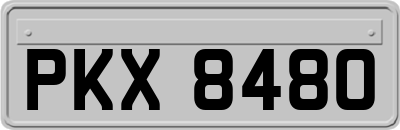 PKX8480
