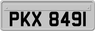 PKX8491