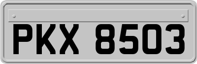PKX8503