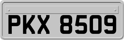 PKX8509