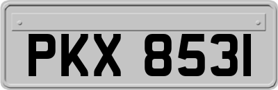 PKX8531