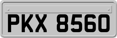 PKX8560