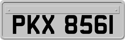 PKX8561