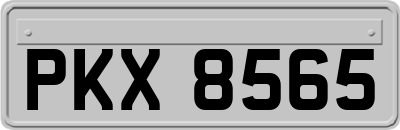 PKX8565