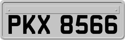 PKX8566