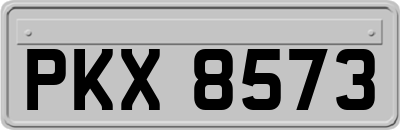 PKX8573