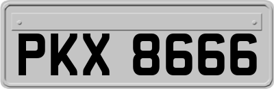 PKX8666