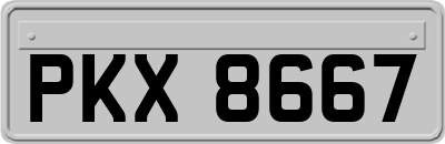 PKX8667