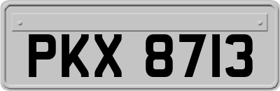 PKX8713
