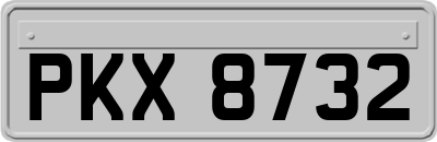 PKX8732
