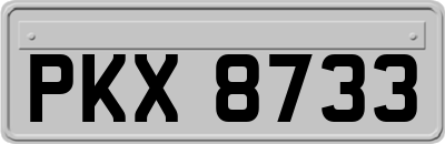 PKX8733