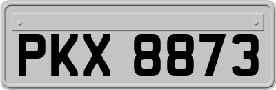 PKX8873