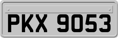 PKX9053