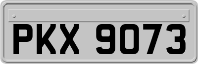 PKX9073