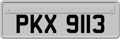 PKX9113