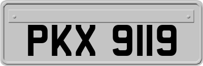 PKX9119
