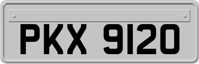 PKX9120