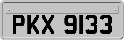 PKX9133