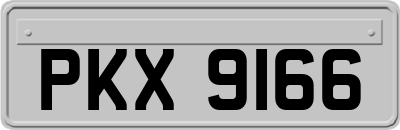 PKX9166